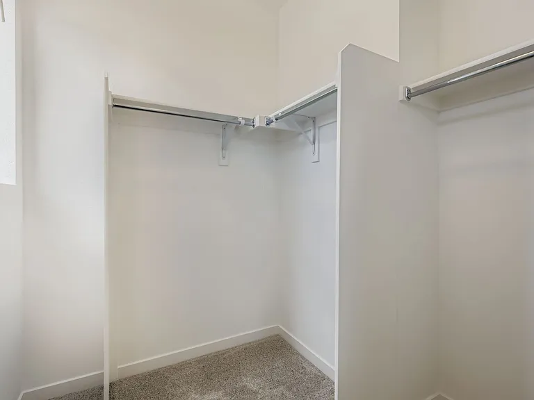 Master Walk-in closet