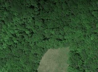 397 Ymca Rd, Otego, NY 13825