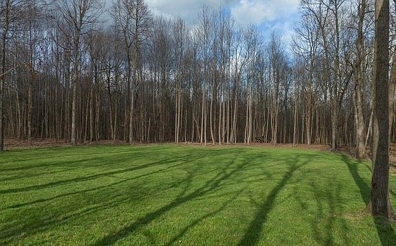 2nd image of 7884 Bill Moss Rd