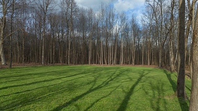 1st image of 7880 Bill Moss Rd