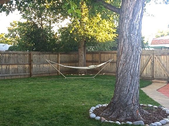 Large Back Yard - View 2