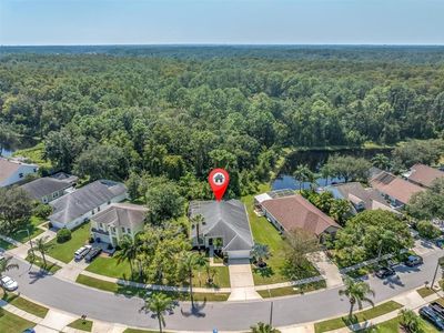 4948 Ridgemoor Cir, Palm Harbor, FL, 34685