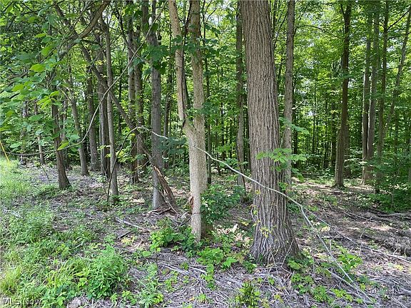 2nd image of Columbia Ln