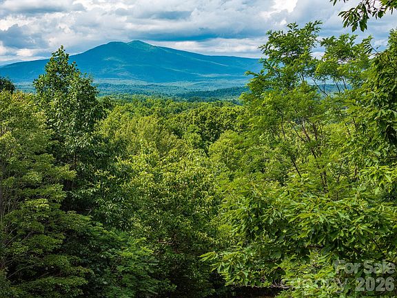 5th image of 155 Big View Dr #155
