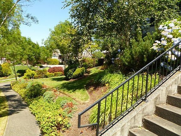 Frotn Side Yard