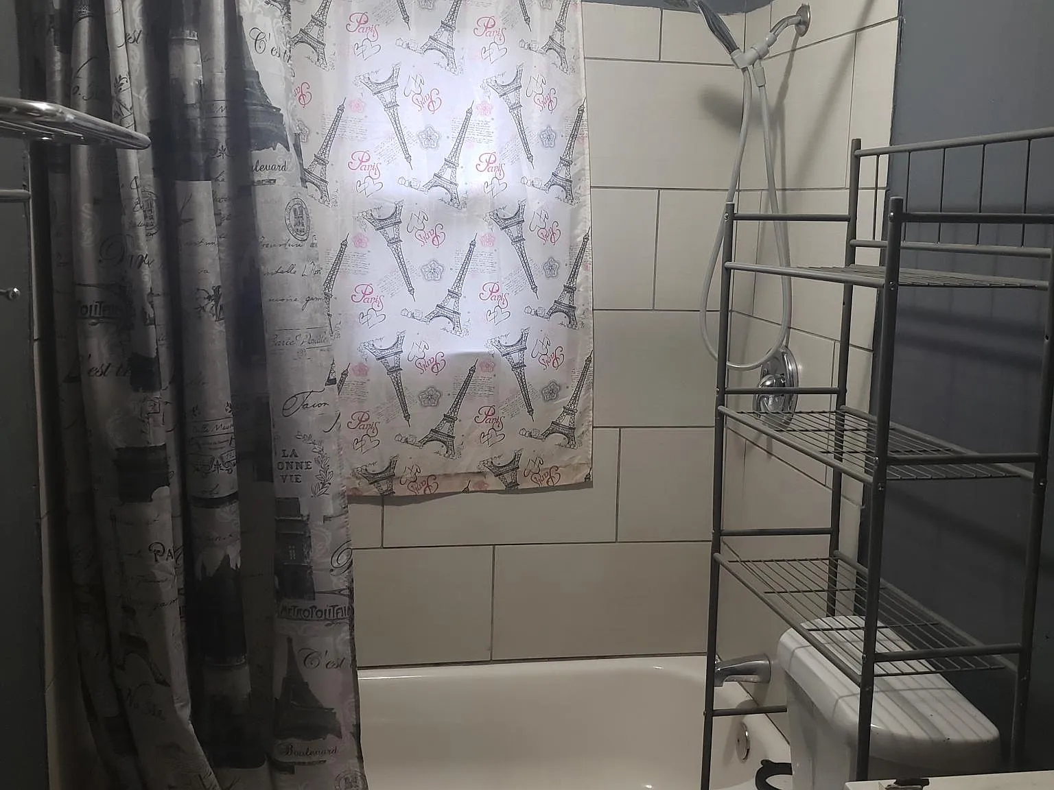 2 bed, 702 sqft, $1,450 — Photo 3