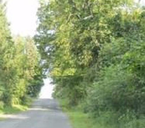4th image of 46 Malloy Rd
