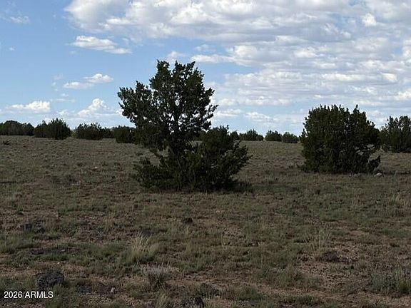 4th image of 10230 W Rocky Rabbit Road #-