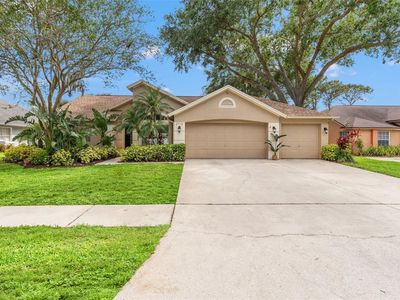 2713 Brianholly Dr, Valrico, FL, 33596