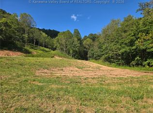 4694 Parkersburg Rd, Reedy, WV 25270