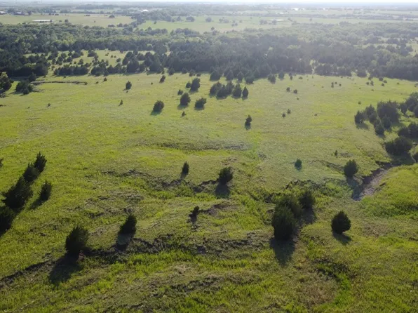 County Road 1098, Celeste, TX 75423