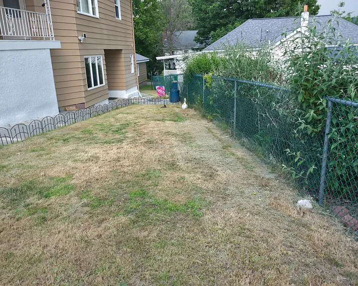 161 Johnson St — Photo 3