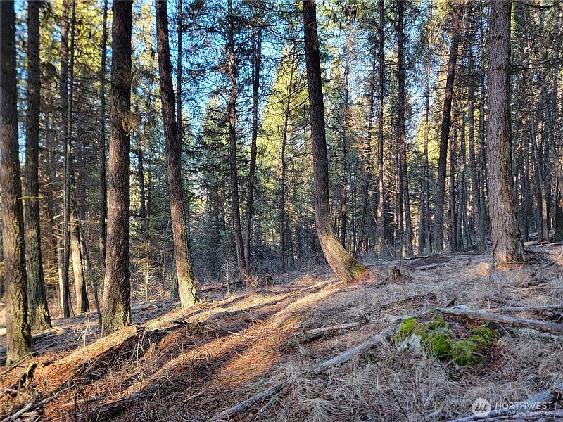 2nd image of 9999 TBD Lundimo Meadows Road
