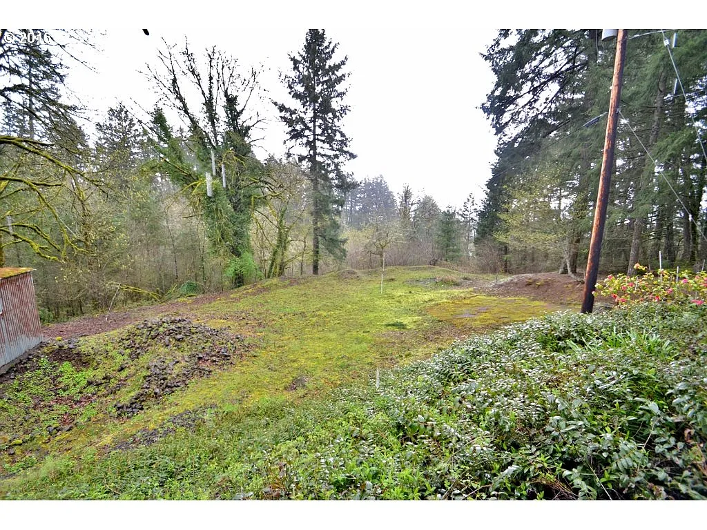 17000 NE Hillsboro Hwy photo 1