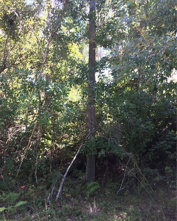 1st image of 2647 Richwood Dr
