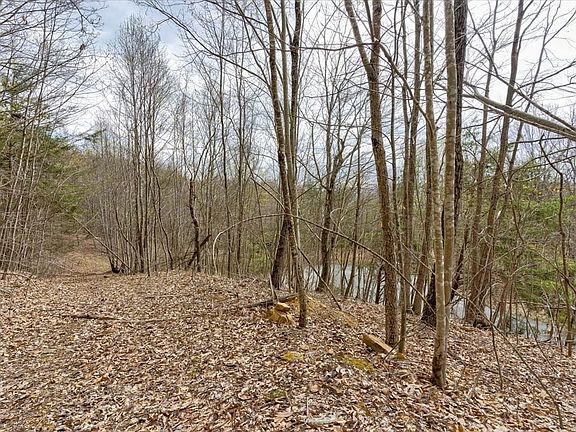 5th image of LOT 248 Red Creek Holw