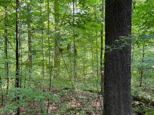 0 Huntley Rd, Bear Lake, PA 16402