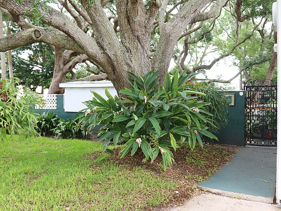 3rd image of 728 N Oleander Ave