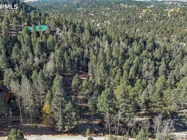 2700 N Mountain Estates Rd, Florissant, CO 80816