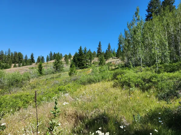 18 Robin Rd, Republic, WA 99166