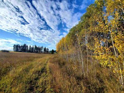 N Elk Chattaroy Rd, Chattaroy, WA, 99003