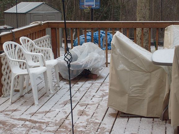 back deck/woods