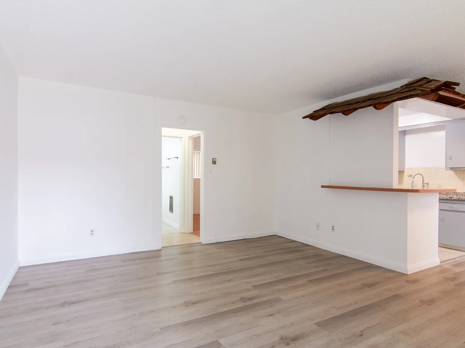 1303 Lyndon St — Photo 3
