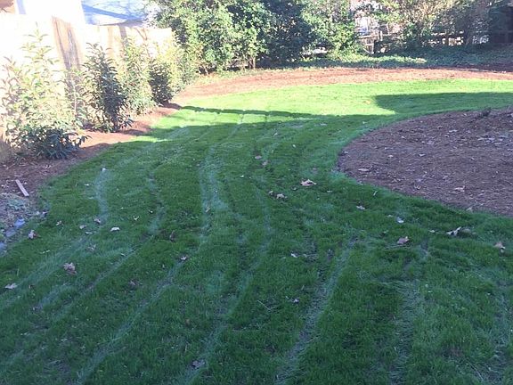 Side of house. Significant landscaping work was just complet