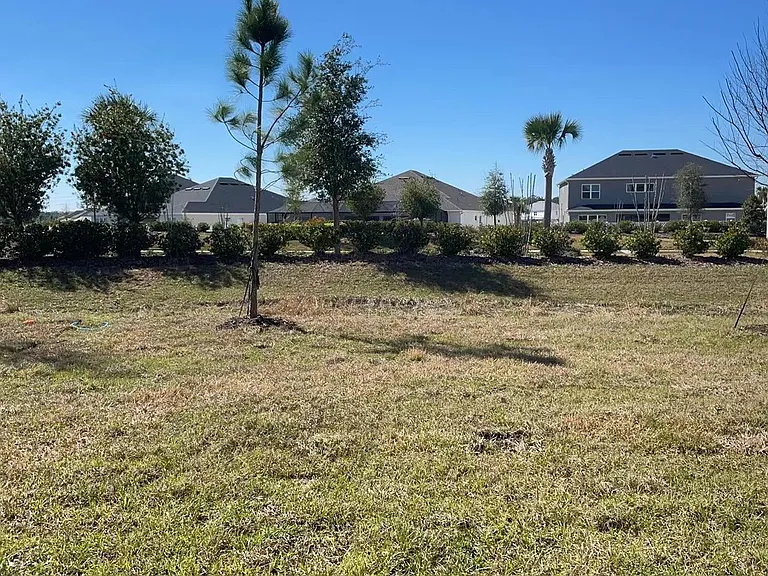 33898 Floating Heart Ct — Photo 5