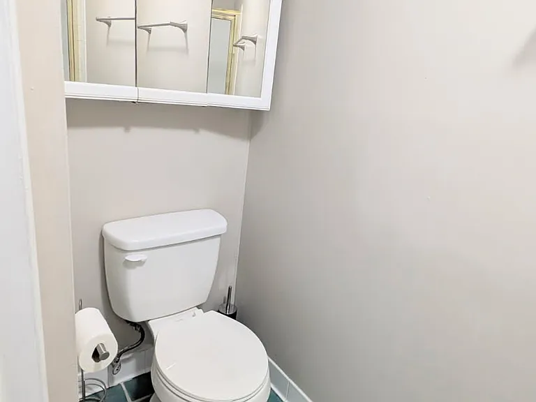 2294 White Cornus Ln — Photo 26