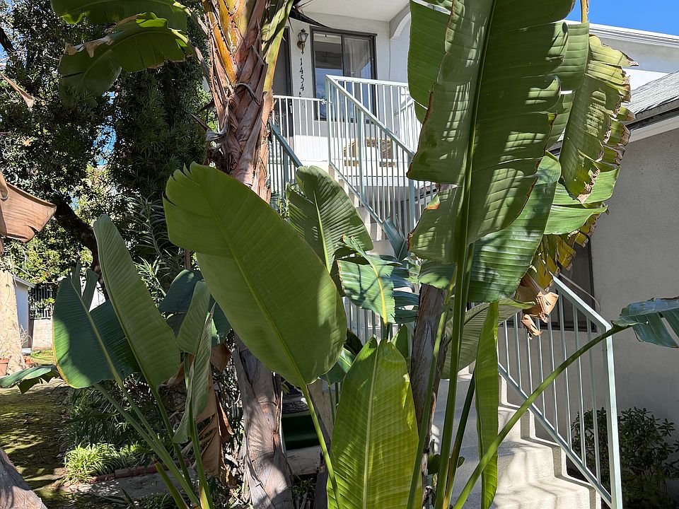 View from front yard.