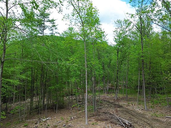 5th image of Lot 26-2 Plain Road