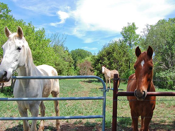 Watching the sun set over the mature oaks adds to the ambiance of the house.