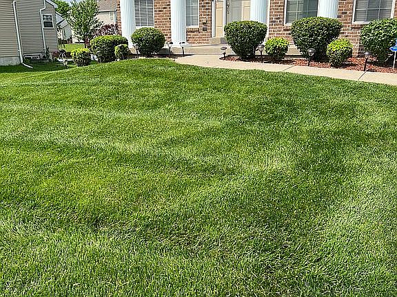 3rd image of 6829 Pelham Manor Dr