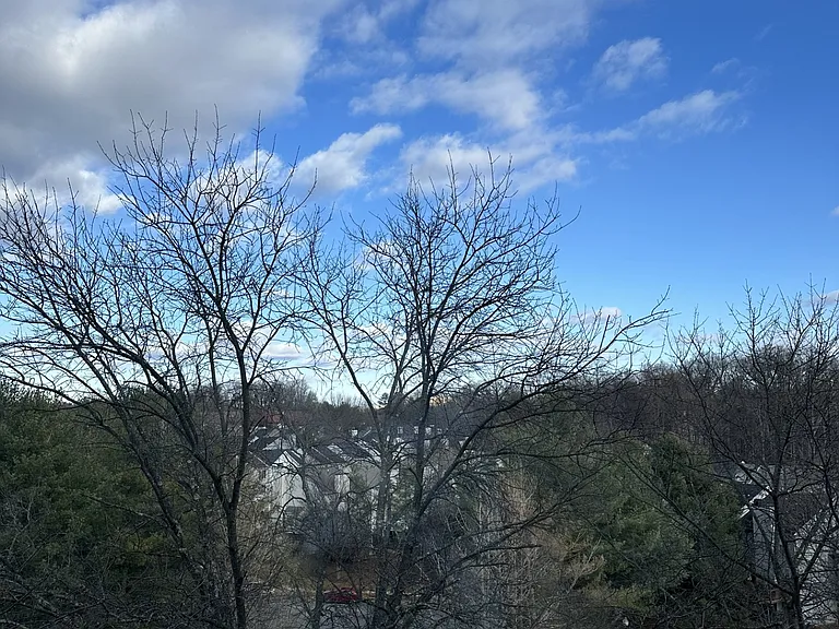 Merion — Photo 26