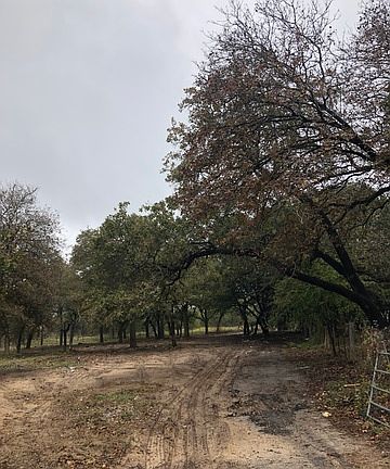 5th image of 230 Shady Oaks Dr