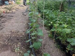 4807 E Sippy Rd, Custer, MI 49405