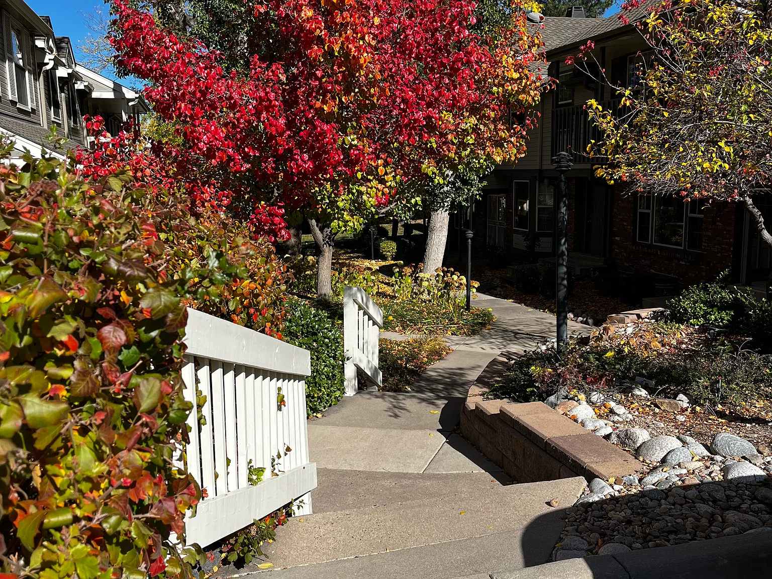 2 bed, 2.5 bath, 1422 sqft, $2,450 — Photo 1