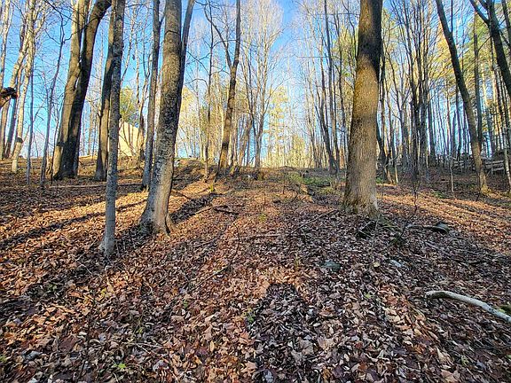 3rd image of 535 Collar Hill Road