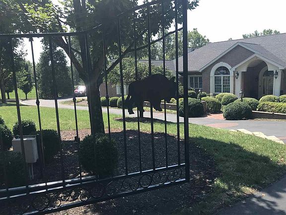 2nd image of 12 Nichols Dr