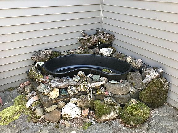 Needs Fish!