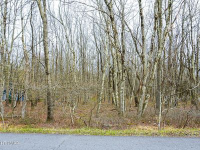 Mountain View Dr, Jim Thorpe, PA, 18229
