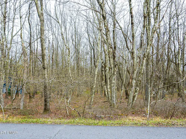 Mountain View Dr, Jim Thorpe, PA 18229