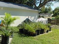 1st image of 5118 29th Ave N