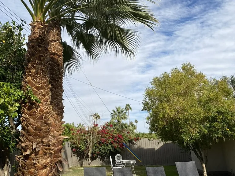Primrose Dr — Photo 6
