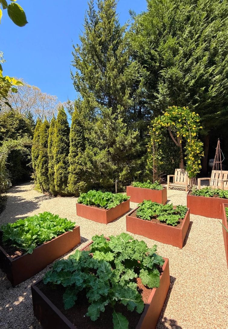  Secret Vegetable Garden