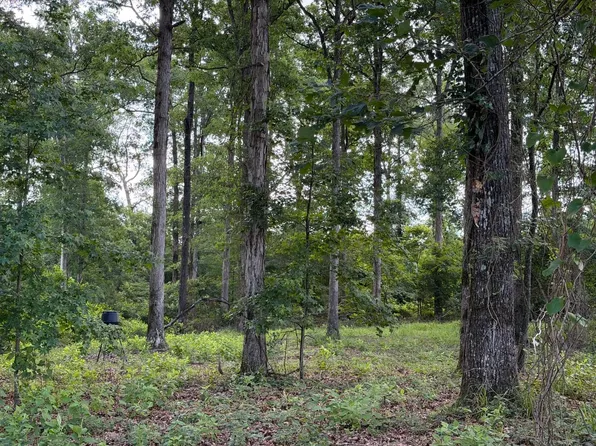 0 Weems Rd, Downsville, LA 71234