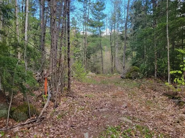 Map 9 Lot 10 Corrigan Way, Windsor, NH 03244