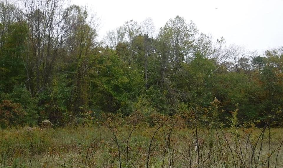 2nd image of 7760 Dutch Bethel Rd