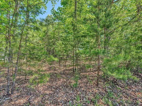 3rd image of LOT 21 Marie Dr